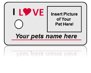 Build Personal Pet Key Tag