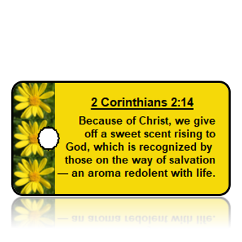 ScriptureTagAA14 -MSG - 2 Corinthians 2 vs 14