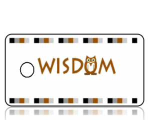 Create Design Key Tags Wisdom Owl Earth Tones