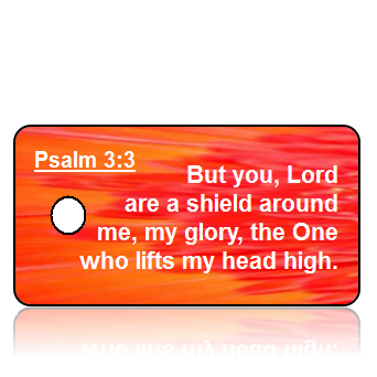 ScriptureTagD94 - Psalm 3 vs 3 - Orange Red Modern