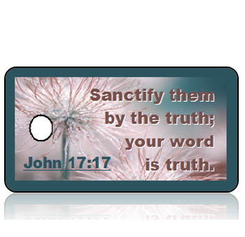 ScriptureTagD110 - NIV - John 17 vs 17 - Frozen Pasque Flowers