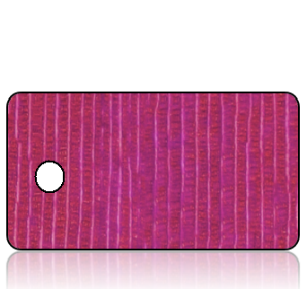 ScriptureTagBlankE25 - Purple Mauve Textured Background