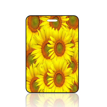 BuildITB122 - BuildIT - Sunflowers