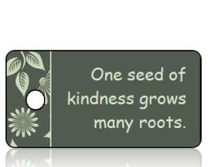 One seed of kindness - Fall Leaves Border Key Tag